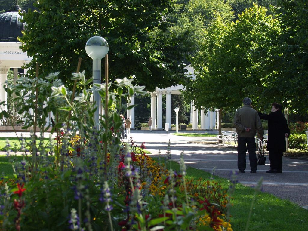 Mariánské Lázně Apartma La Provence מראה חיצוני תמונה