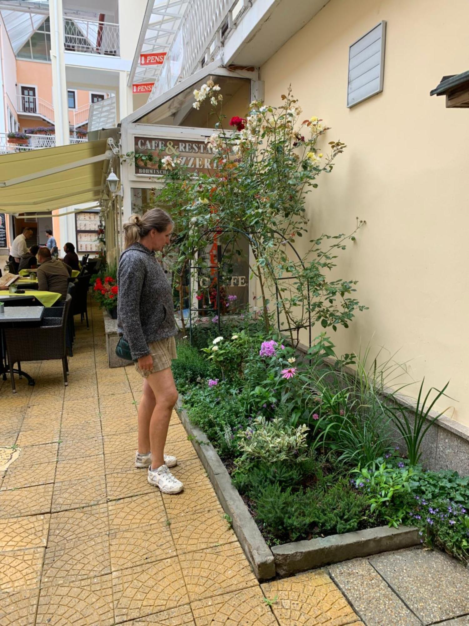 Mariánské Lázně Apartma La Provence מראה חיצוני תמונה
