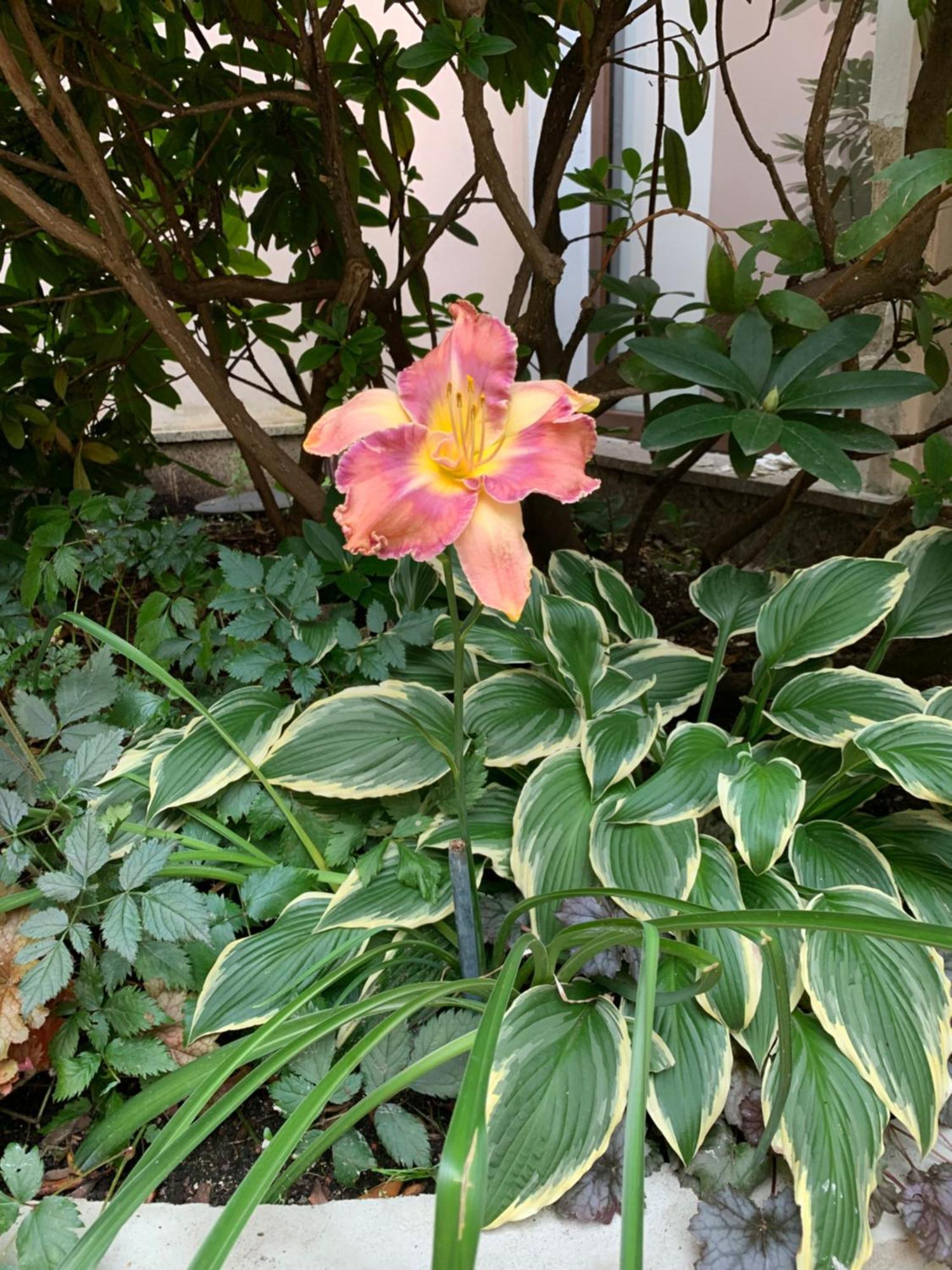 Mariánské Lázně Apartma La Provence מראה חיצוני תמונה